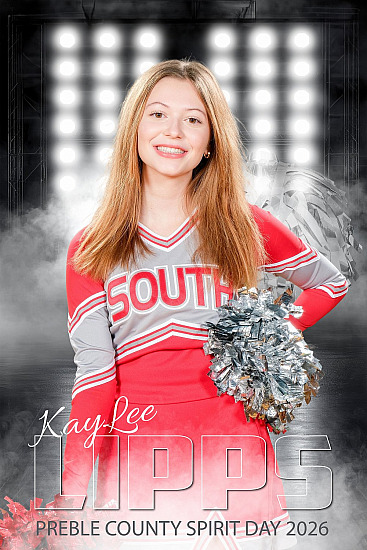 Spirit Day Mini Banners 12'x18"